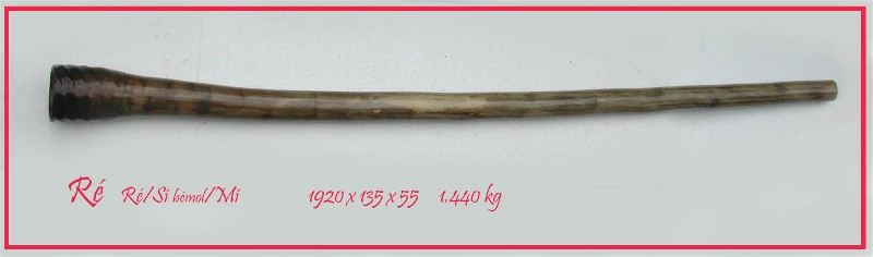 N°36 Ré zalem.jpg