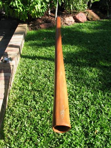 didges stix f (Small).jpg