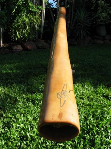 didges stix e (Small).jpg