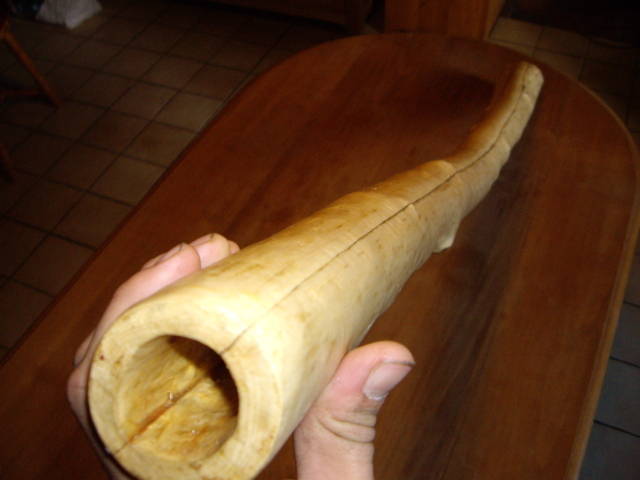 IMGP0893.JPG