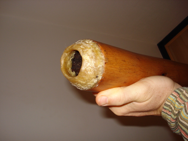 didj en do#, large embouchure