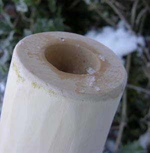 embouchure h.jpg