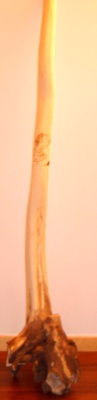 hetre_eric.JPG