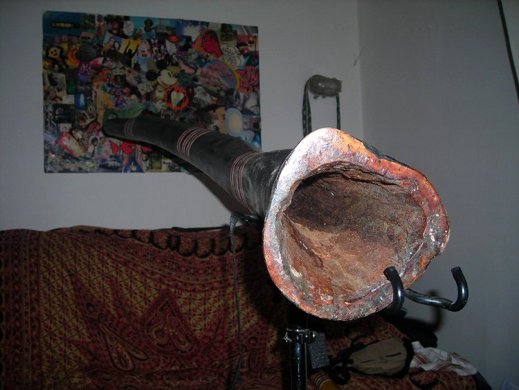 DSCN0078.JPG