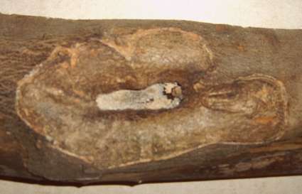 "oeil" à l'extérieur