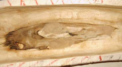 oeil à l'intérieur