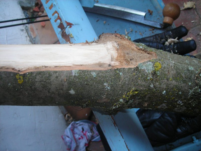 DSCN0113.JPG