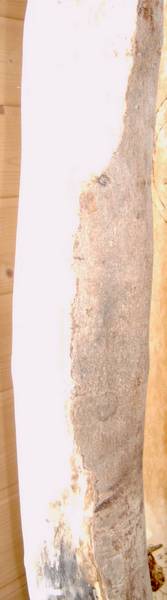 la zone non-écorcée est à droite sur cette image.