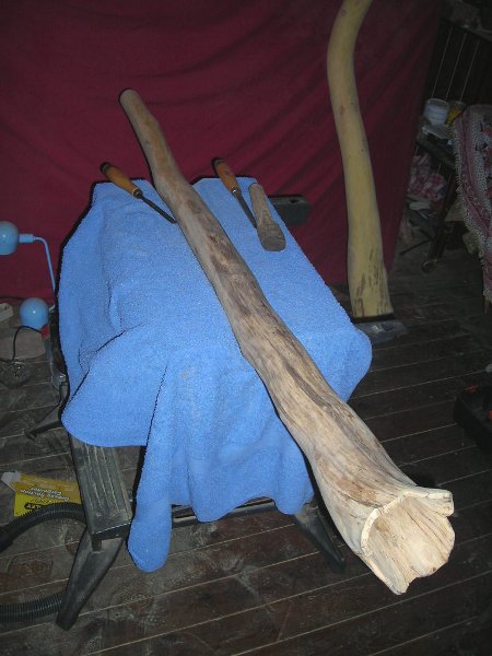 DSCN0120.JPG