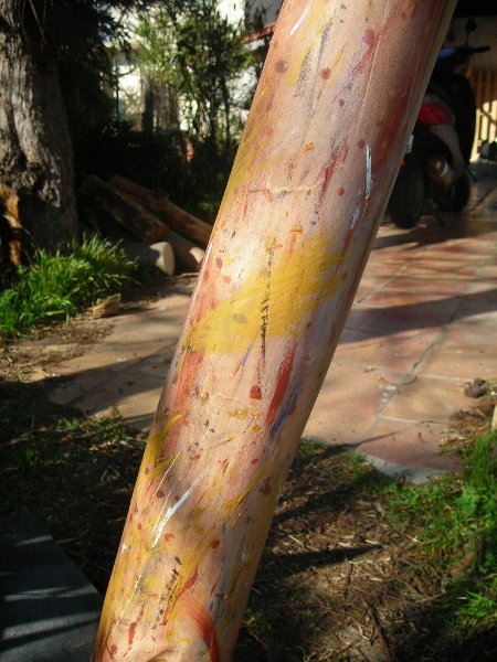 DSCN0148.JPG