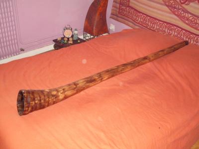 Agave Tyler Spencer DO# - profil