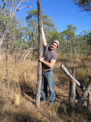 Un long log qui deviendra un long didge bien grave !