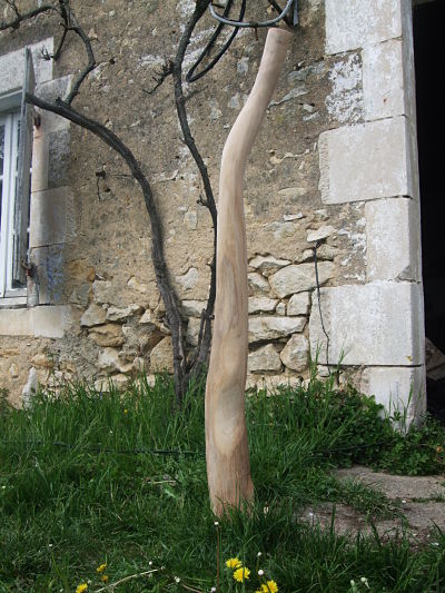 DSCF7683_opt.jpg