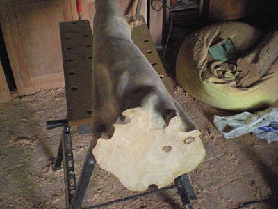 DSCN3331_opt.jpg