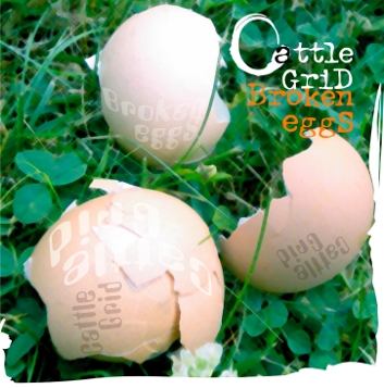 Broken Eggs.jpg