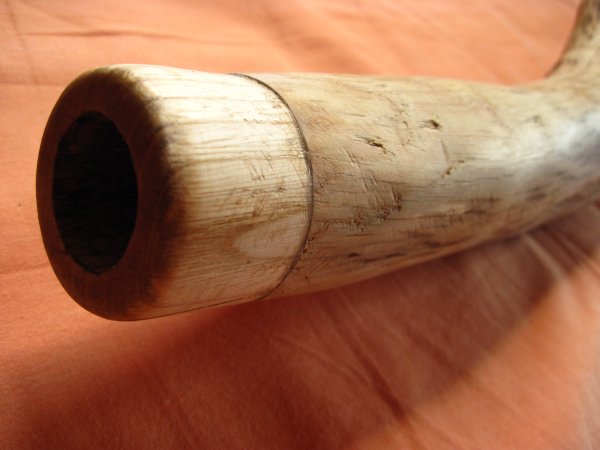 détail de l'embouchure, qui est en châtaigner. je comptais la faire en buis ou en houx au départ... c'est pas encore bien poncé tout ça, mais c'est une belle galère aussi le chêne ( je travaille beaucoup a la main, peu d'outils électriques...)