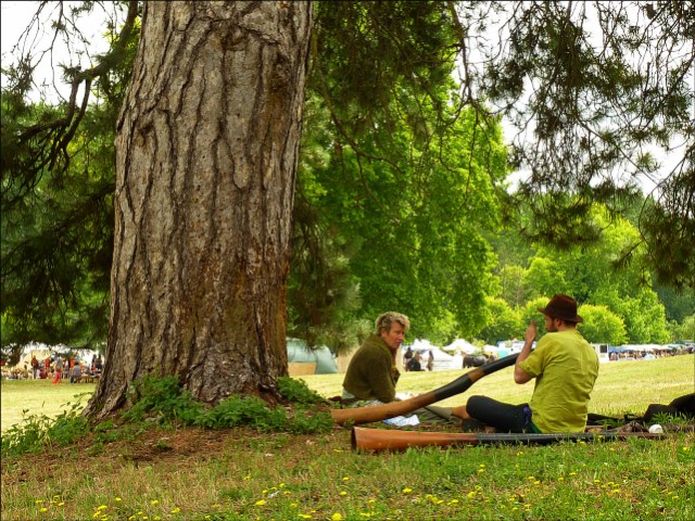 P1070668 [640x480].JPG