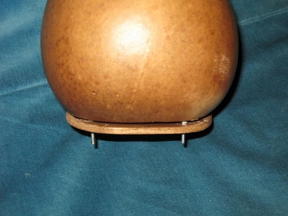 IMG_3833 (600x450) (570x428).jpg