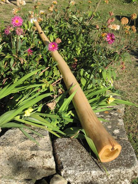 Le didge style "yidaki" par Chad, à réception de la pédale wah-wah, total improvisation... se passe de commentaires, venez tester.