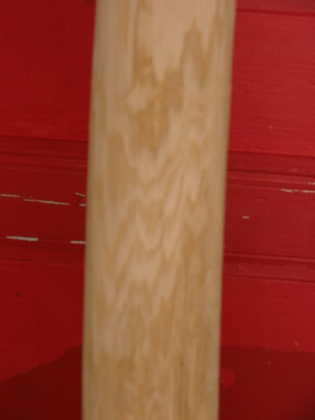 DSC03362.JPG