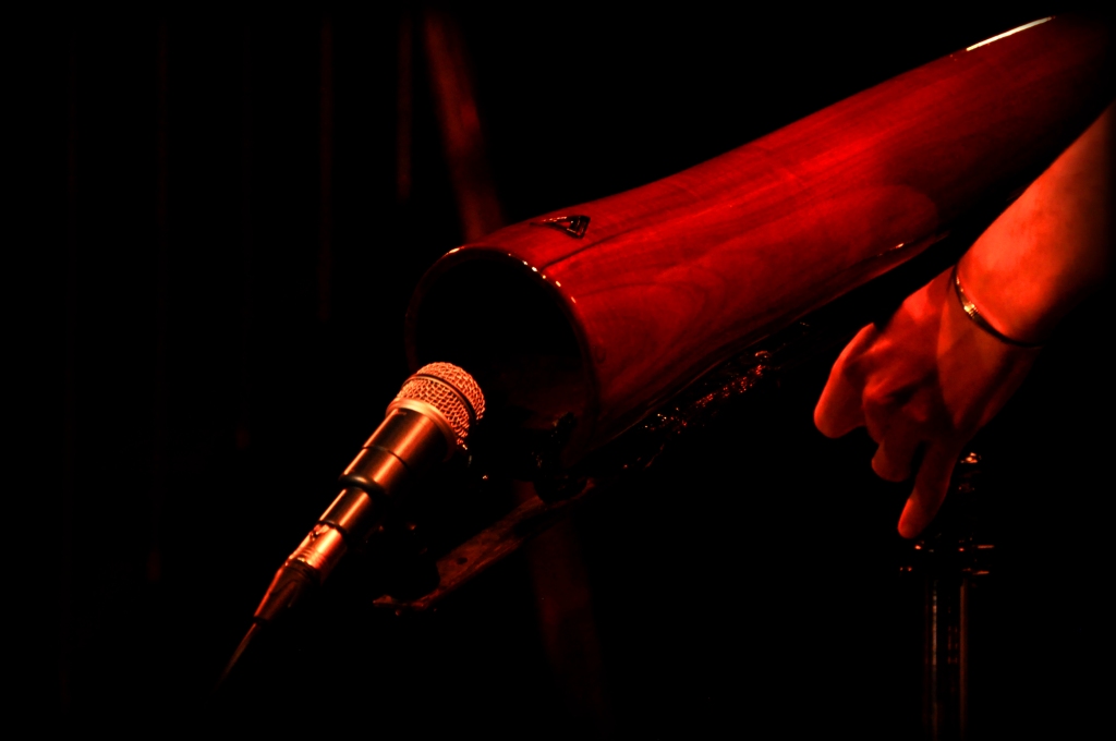 DSC_0156.JPG