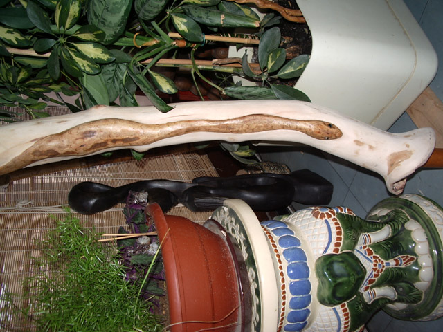 PLATANE sculpture reptile
