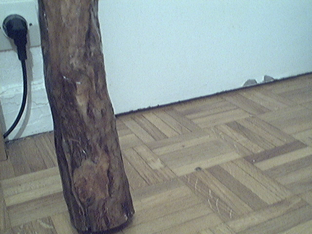 Image 107.jpg