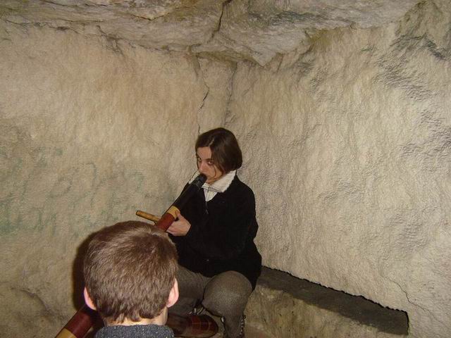 jaja observé par zalem!.JPG