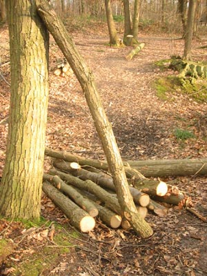 chataigner.jpg