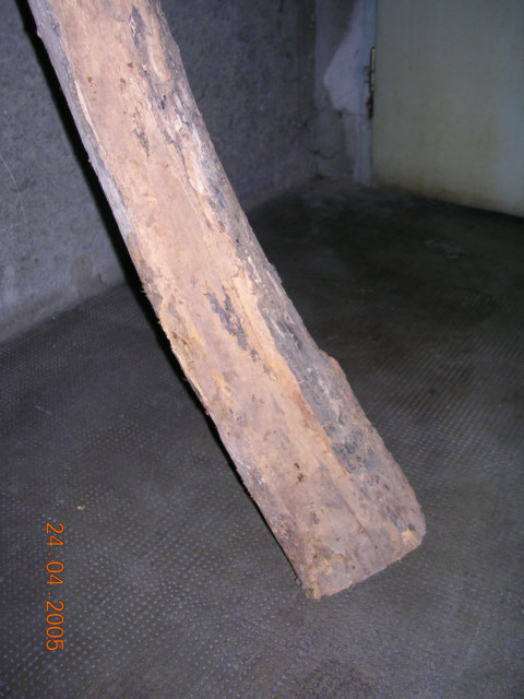 Bell encore
