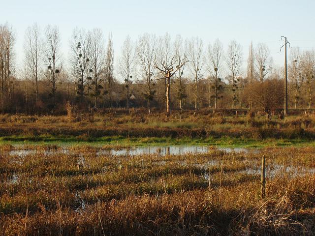 PC260034.JPG
