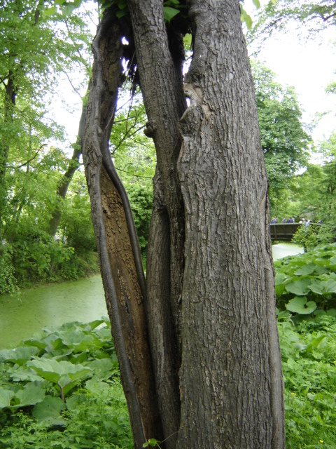 DSC02336.JPG