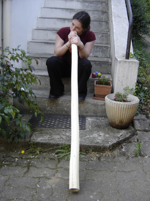 DSC02520.JPG