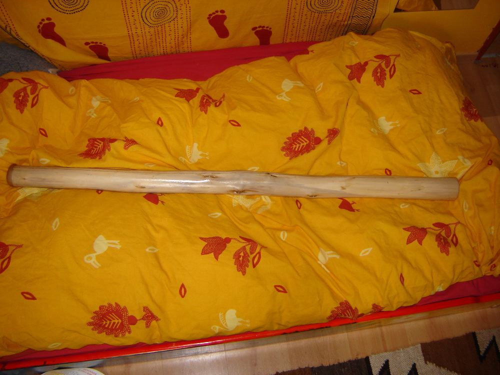 re1-2005.jpg