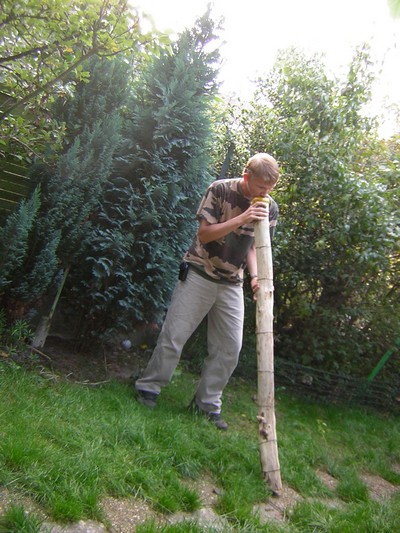 avec moi 1.JPG