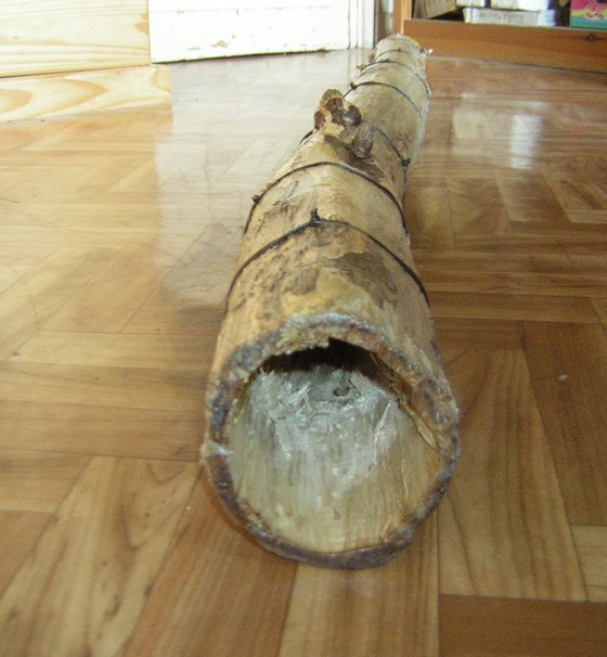 cloche.jpg