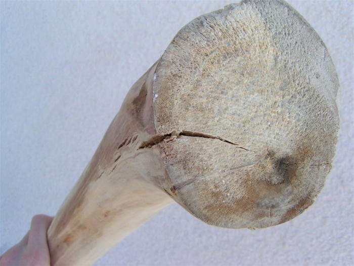 PICT1487.JPG