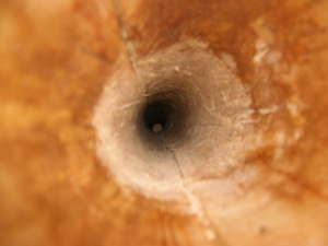 vue intérieur.jpg