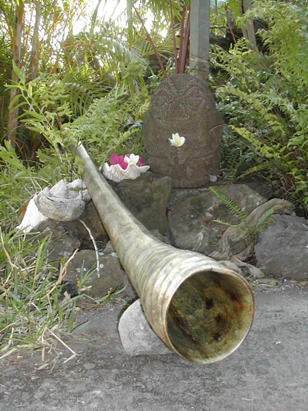 DSCN2118.jpg