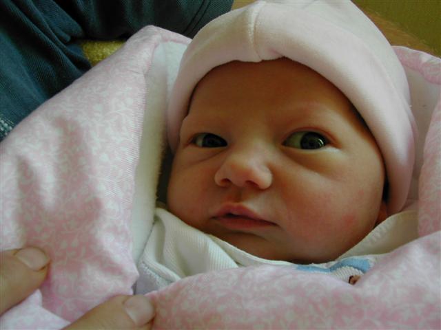 DSCN7725 (Petite).JPG