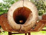 embouchure