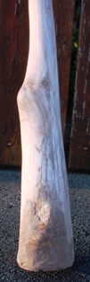 DSC00481.JPG