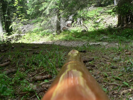 didge in the wood.jpg