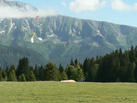 paysage.jpg