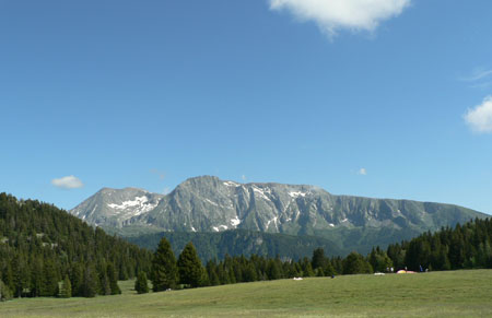 paysage sur site!.jpg