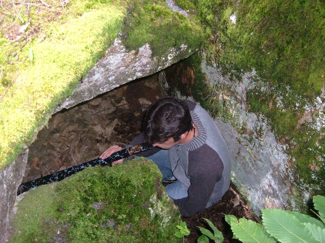j'étais sure que les lutins de brocéliande jouaient du didge!