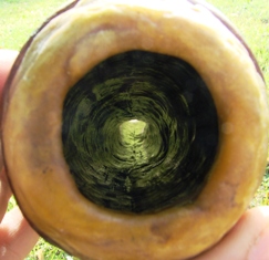 l'embouchure