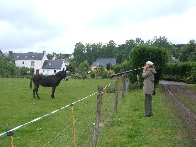 Et il semblerait même.....