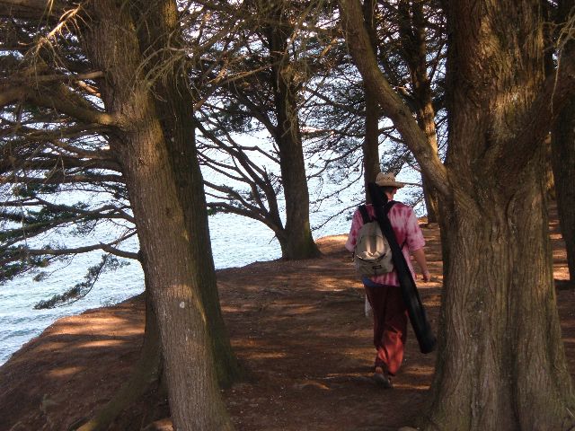 ... sous les arbres