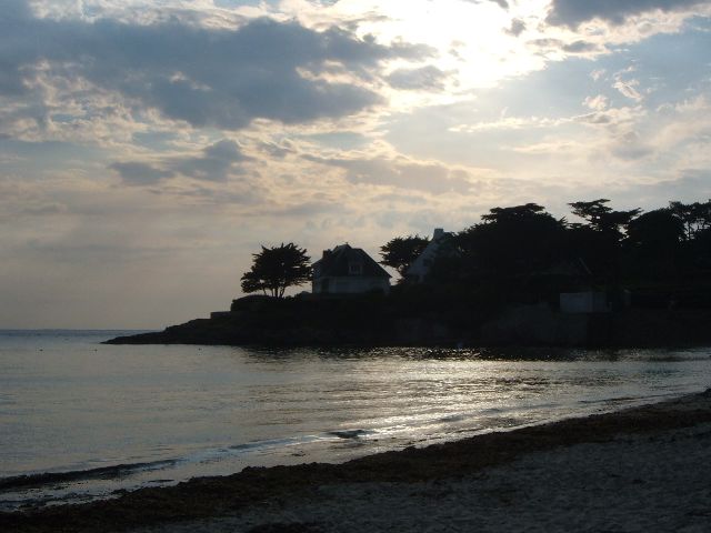 ptite vue